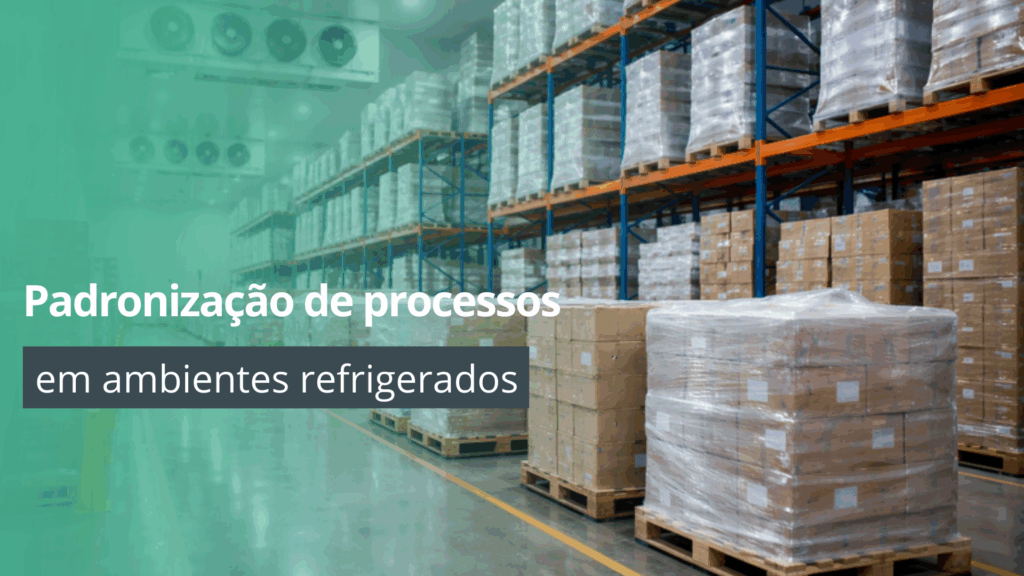 Padronização de processos na logística refrigerada em armazém climatizado.